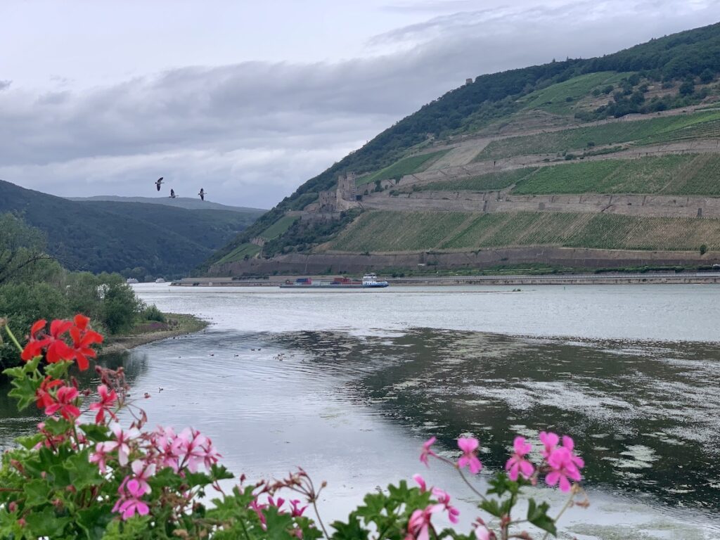 blick auf den rhein von der nahebrücke in bingen am rhein