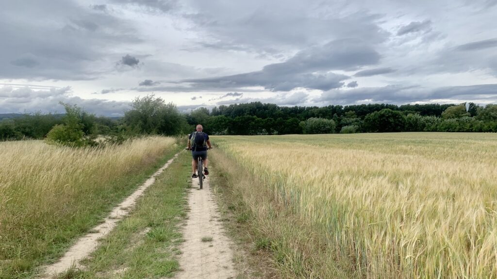 Fahrradtour kornfelder radweg