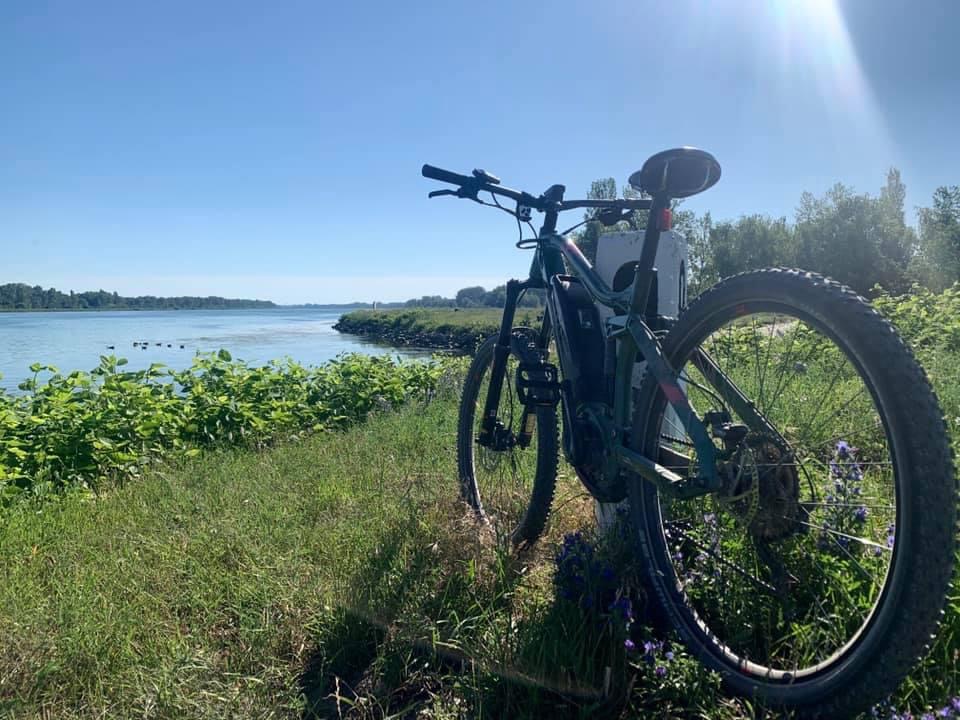 e-mountainbike am rhein