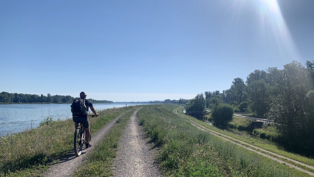 rhein radweg