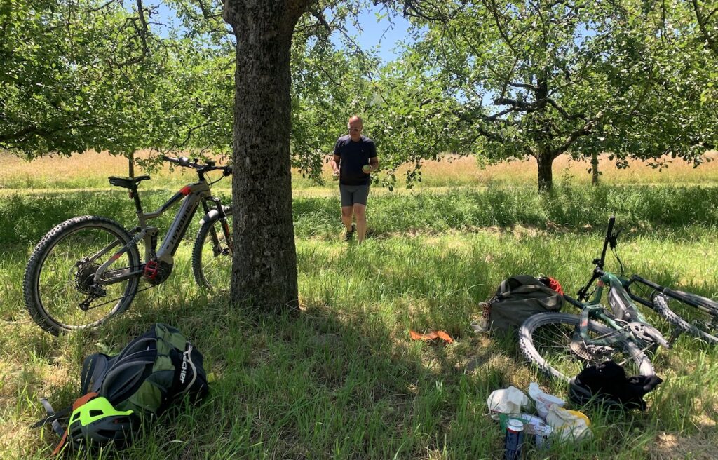Rast auf einer Obstbaumwiese entlang der Bundesstrasse zwischen Steinmauern und Elchesheim