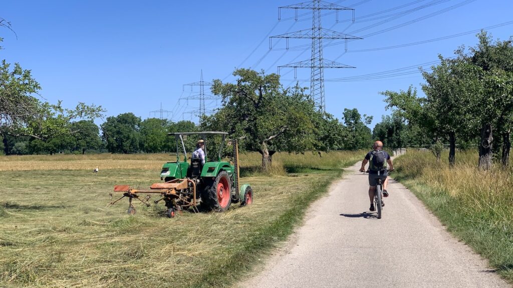 Feld mit Radweg, Trecker und Storch