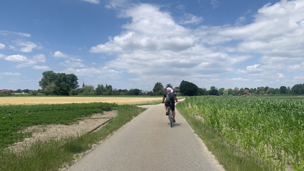 Radweg nahe Otterstadt