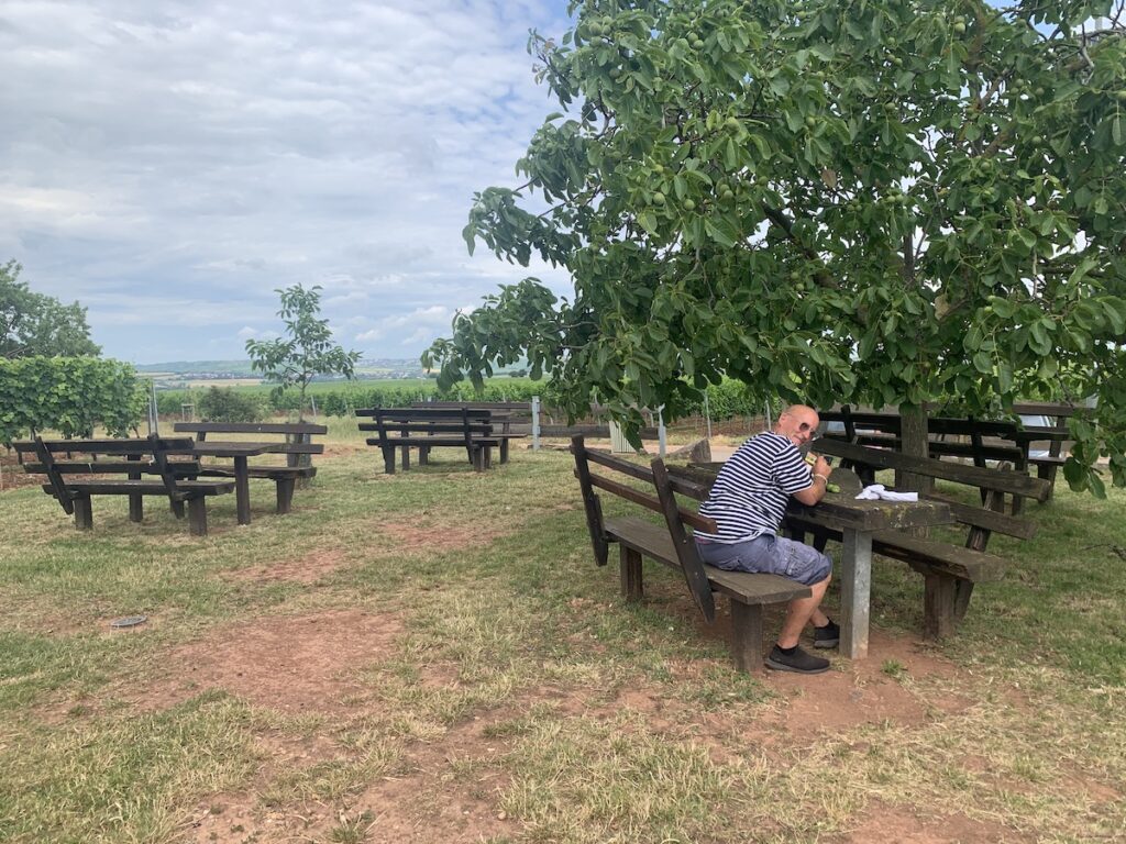 nierstein weinberge picknickplatz am wartturm