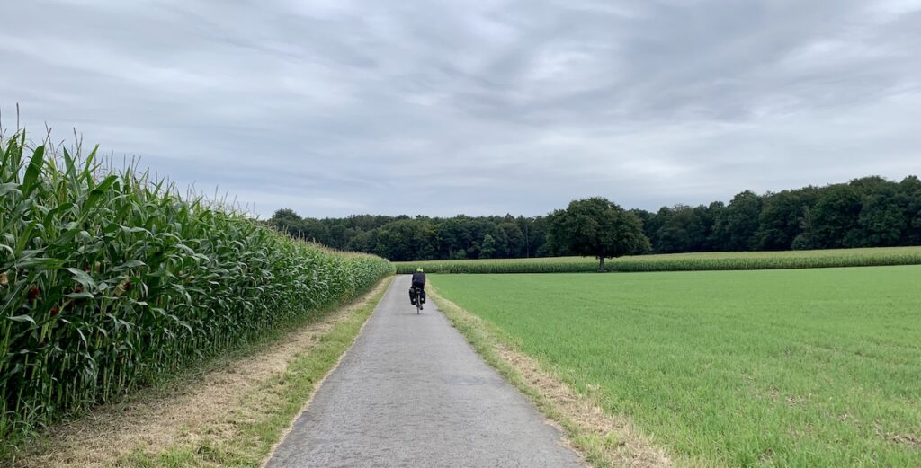 David auf dem Fahrrad zwischen Eppendorf und Holtwick mit Maisfeld
