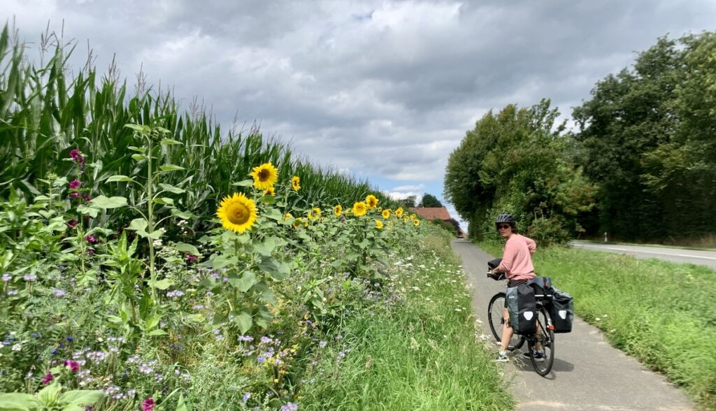 Ich auf einem Radweg mit Sonnenblumen