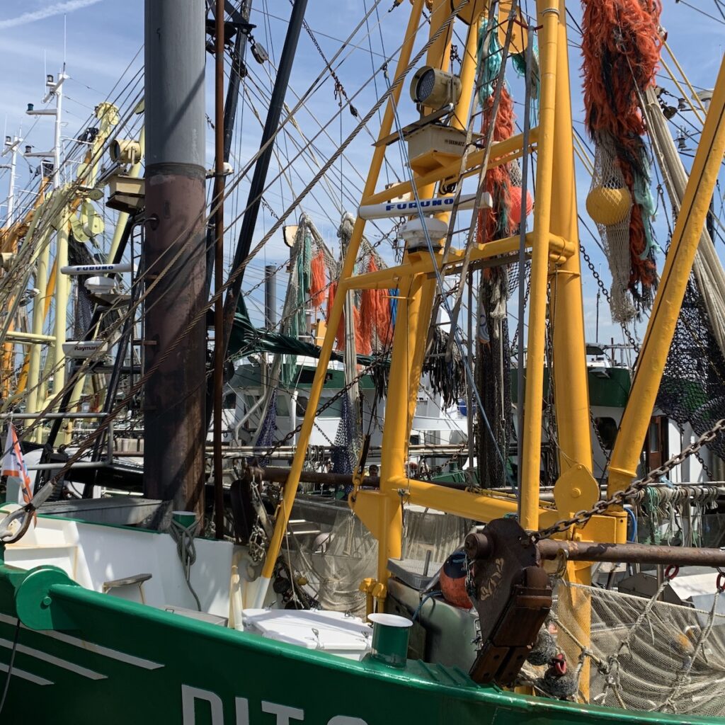 Schiffe im Hafen Ditzum Ausschnitt Masten